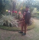 Topper