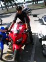 Topper
